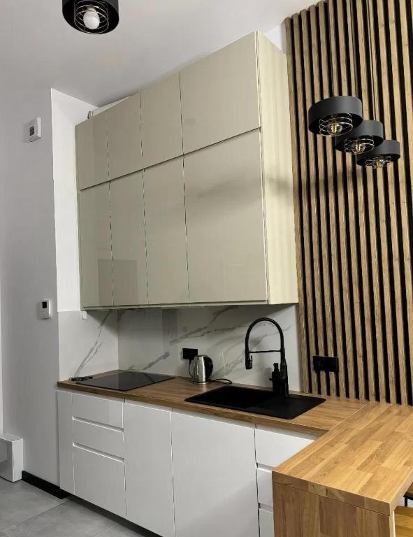 Rentpoland Wiktoryn Studio Apartament *